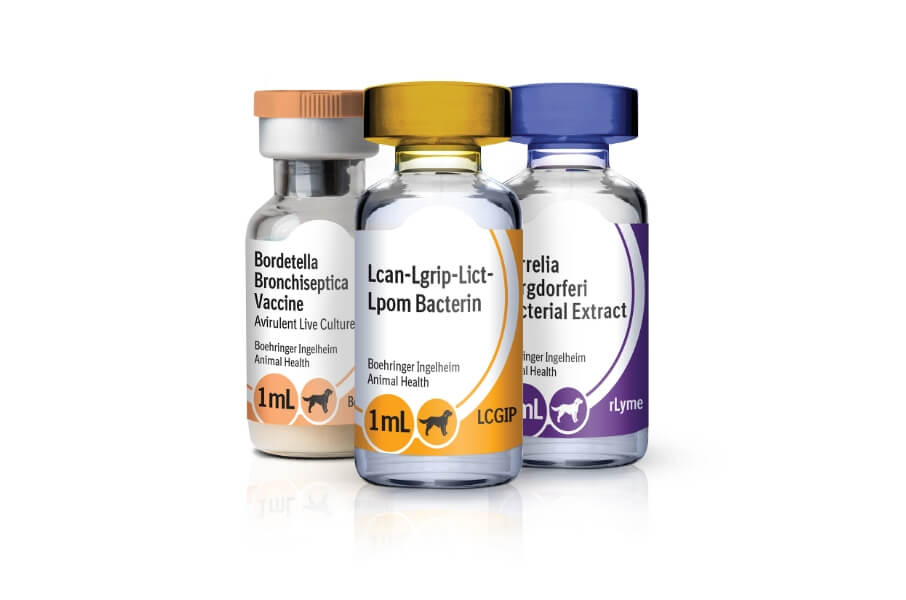 Lepto and lyme hot sale vaccine for dogs